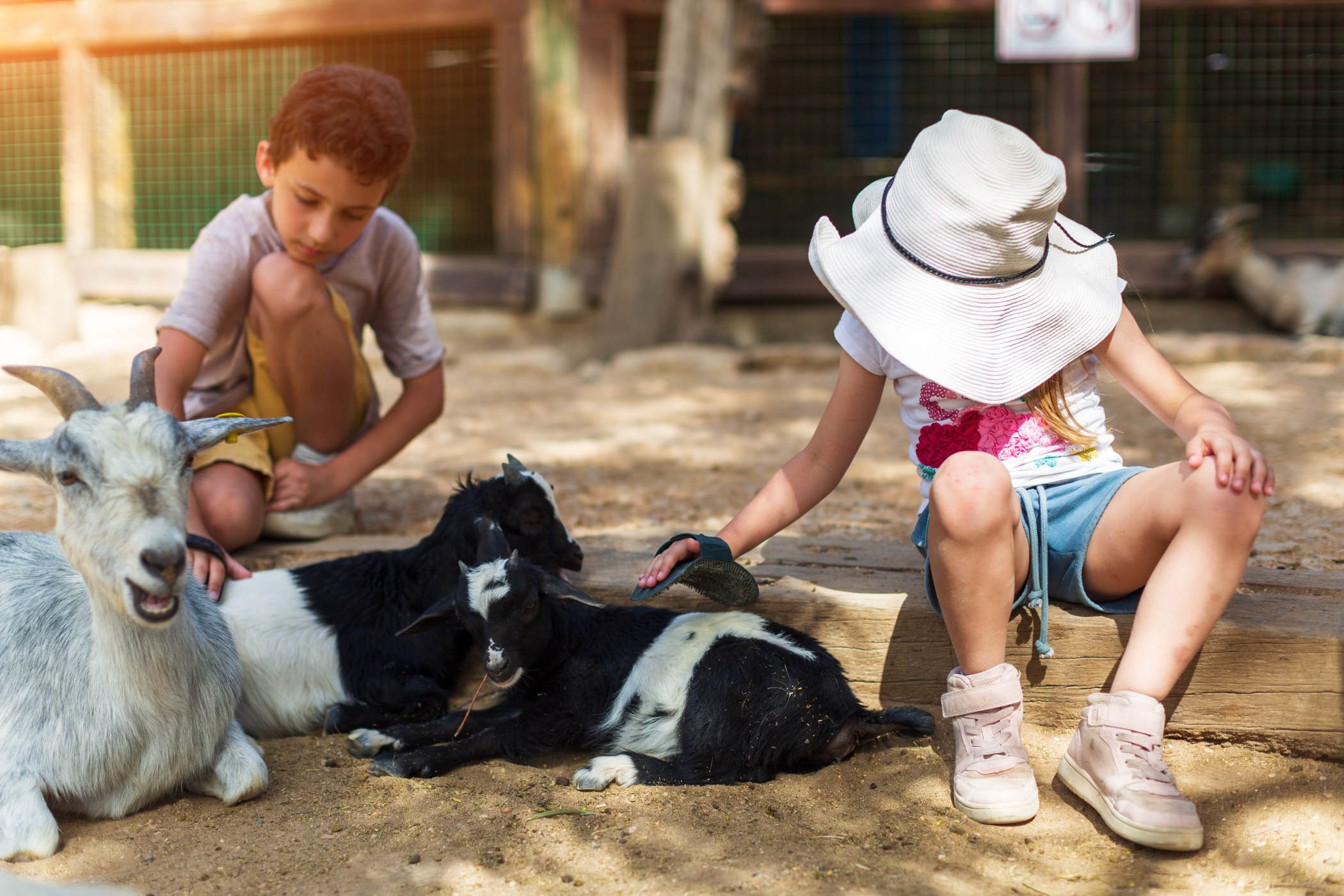 Petting Zoo Ocala